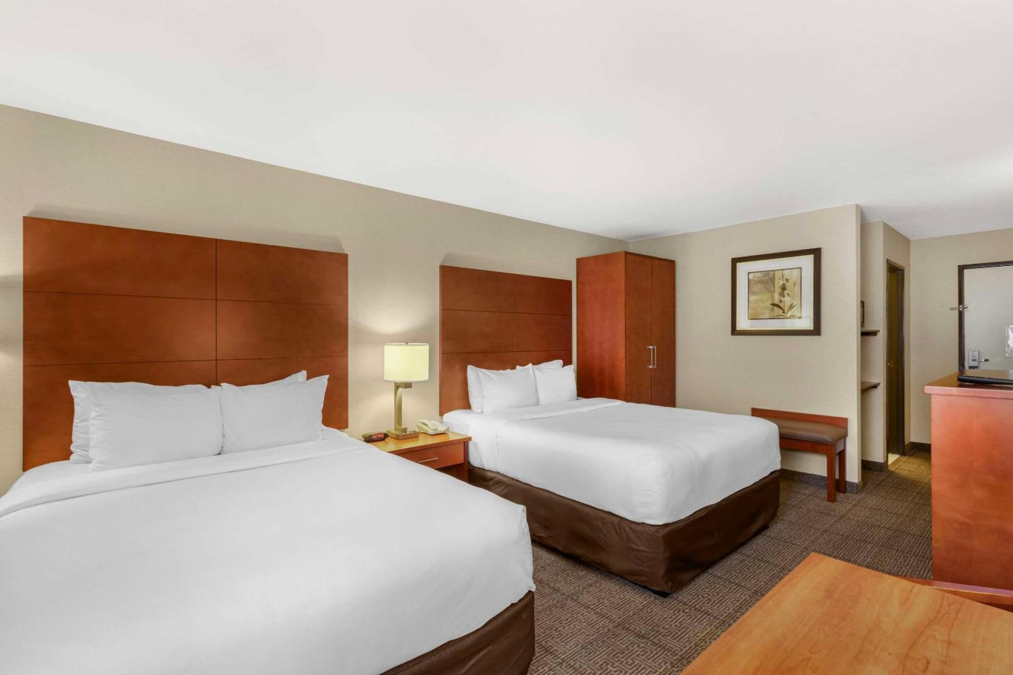 Comfort Inn&Suites Near Fallon Naval Air Station Extérieur photo